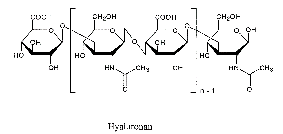 圖片1